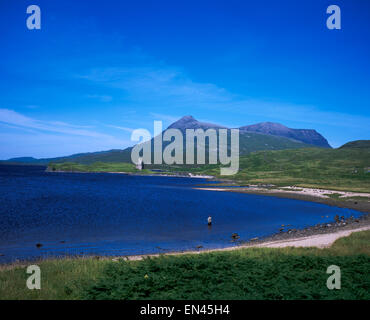 Pêche à la Mouche par Ardvreck Castle, Loch Assynt, Assynt, avec Quinag en arrière-plan, Sutherland, Scotland Banque D'Images