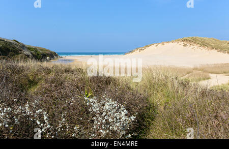 La plage de la baie de Holywell côte nord des Cornouailles Angleterre Royaume-uni près de Newquay et Crantock en ressort avec ciel bleu Banque D'Images