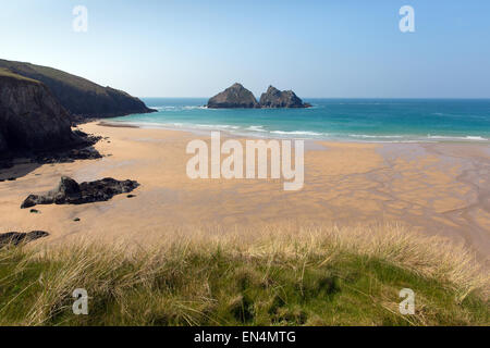 Baie de Holywell côte nord des Cornouailles Angleterre Royaume-uni près de Newquay et Crantock en ressort avec ciel bleu Banque D'Images