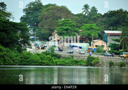 Belles backwaters et cocotiers avec une verdure vibrante Banque D'Images