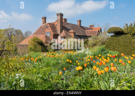 Great Dixter House et Jardin Jardin de printemps tulipes Sandhurst UK Banque D'Images