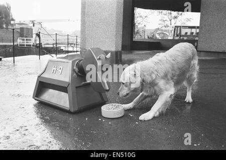 K9, le robot-chien dans la série TV de la BBC qui, vu ici Dr Robert réunion le chien chien aliments Spillers whos face vend plus d'un demi-million de paquets de produits de la société 7. Les deux ont été réunies pour célèbre le cinquantième anniversaire de l'entreprise. Ro Banque D'Images