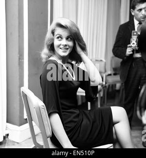 Ann Margret Olsson, actrice de cinéma et chanteuse, photographié à la May Fair Hotel à Londres, 6 novembre 1963. Ann Margret est en ville pour le London premiere de son dernier film "Bye Bye Birdie". Banque D'Images