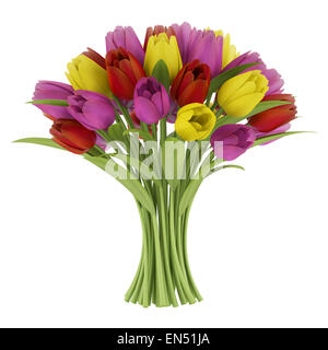 Bouquet de tulipes isolé sur fond blanc Banque D'Images