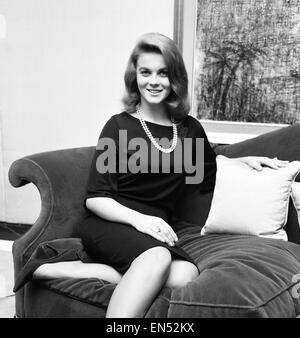 Ann Margret Olsson, actrice de cinéma et chanteuse, photographié à la May Fair Hotel à Londres, 6 novembre 1963. Ann Margret est en ville pour le London premiere de son dernier film "Bye Bye Birdie". Banque D'Images