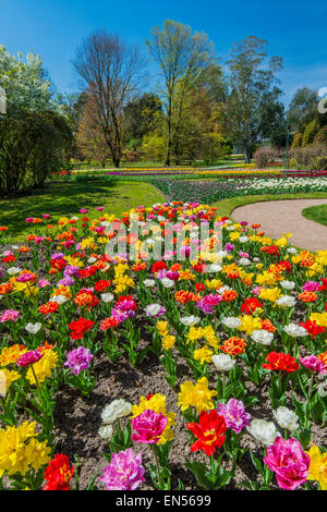 Jardins botaniques de Villa Taranto, Verbania, Piémont, Italie Banque D'Images