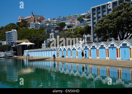 Boatsheds, Clyde Marina Quay, Wellington, Île du Nord, Nouvelle-Zélande Banque D'Images