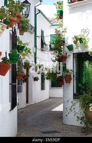 Rue étroite avec de jolies fleurs en pot sur le mur de la maison dans le Barrio la Villa district, Priego de Cordoba, Espagne. Banque D'Images