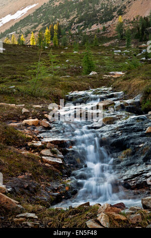 WASHINGTON - Outlet Creek entre entre le lac enneigé pour abaisser Snowy Lake dans le Nord de la section Cascade Forêt nationale d'Okanogan. Banque D'Images