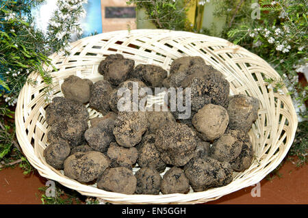 Une cuisine typiquement italienne : truffes blanches et noires Banque D'Images