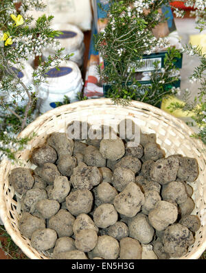 Une cuisine typiquement italienne : truffes blanches et noires Banque D'Images