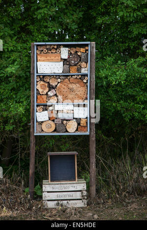 Hôtel pour insectes abeilles solitaires, lieu de nidification artificiels pour les insectes invertébrés / offrant des trous de nidification dans les cavités et les tiges Banque D'Images