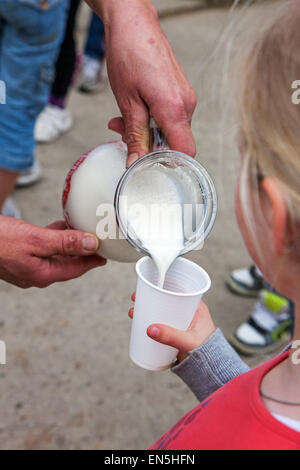 Farmer holding verseuse en verre verser du lait frais dans la petite tasse en plastique au niveau de l'exploitation Banque D'Images