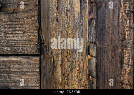 Trois clous rouillés en bois en bois brun gros plan vide mural bandes vintage background Banque D'Images