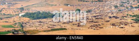 Des milliers de chameaux et d'autres animaux sont représentés à travers une vaste plaine à l'assemblée annuelle de chameau de Pushkar Fair, où les gens voyagent fr Banque D'Images