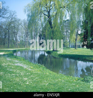 Deutschland, München, Park im Frühling (Schloßpark,) Banque D'Images