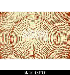 Les anneaux de croissance des arbres en arrière-plan de coupe et le tronc de l'arbre. Vector illustration. Banque D'Images