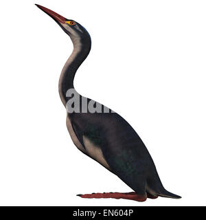 Hesperornis était un des oiseaux d'aptères qui habitaient les lacs et marais de l'ère du Crétacé. Banque D'Images