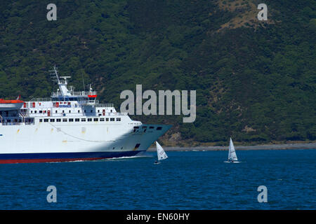 Ferry Interislander Aratere, Wellington, Wellington Harbour, île du Nord, Nouvelle-Zélande Banque D'Images