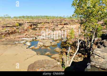 Creek, Mitchell Plateau, Kimberley, Australie occidentale Banque D'Images