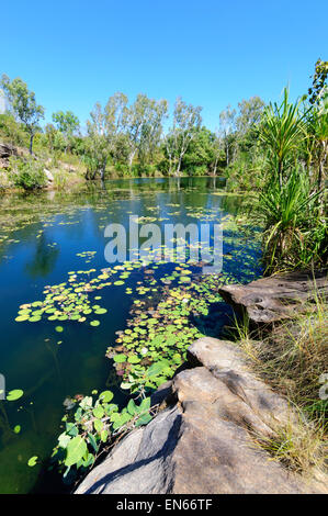 Creek, Mitchell Plateau, Kimberley, Australie occidentale Banque D'Images