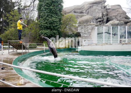 Le spectacle au Zoo de Budapest, Hongrie Banque D'Images