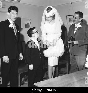 Mariée à Marylebone Register Office, nain David Johnson de la Strong Brothers, à Ramona Austin mannequin. Le couple s'est rencontré au Moulin Rouge, Paris, où David Johnson était avec. Notre photo montre : l'épouse de glisser une bague de mariage sur David's fin Banque D'Images