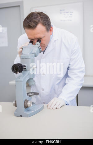 L'examen scientifique de l'échantillon avec microscope Banque D'Images