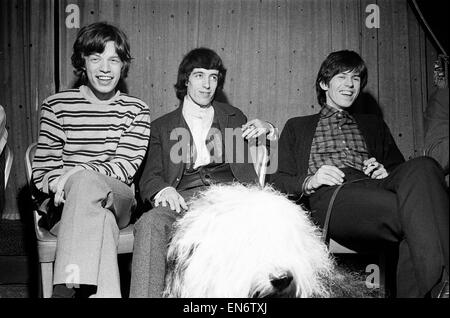 Les Rolling Stones lors d'une conférence de presse après une rencontre fans sur Broadway avec un vieux chien de berger anglais à l'avant-plan. l-r, Mick Jagger et Keith Richards, Bill Wyman. 2 juin 1964. Banque D'Images