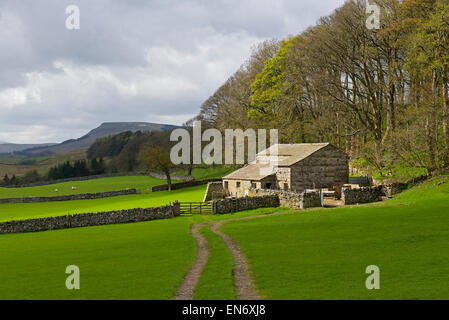 Domaine grange près de Hawes, Wensleydale, Yorkshire Dales National Park, North Yorkshire, England UK Banque D'Images