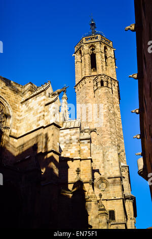 La cathédrale de la Sainte Croix et Sainte Eulalie. Barcelone, Catalogne, Espagne. Banque D'Images