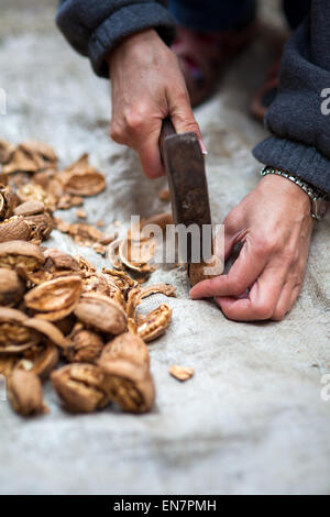 Concassage agricultrice les noix avec un marteau outdoor Banque D'Images
