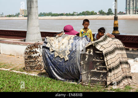 Vendre des oiseaux à des fins religieuses à Phnom Penh, Cambodge, Asie. Banque D'Images