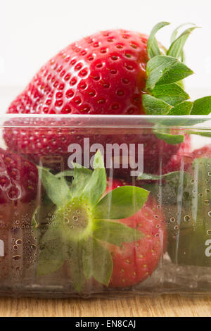 Une fraise mûre dodu en barquettes en plastique Banque D'Images