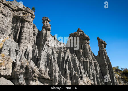 Les putangirua scenic reserve, ou des pinacles, une zone de gravier érodé laissant grand tas de gravier, la Nouvelle-Zélande. Banque D'Images