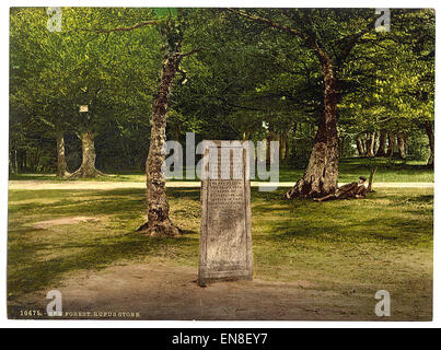 [Rufus Stone, New Forest, Winchester, Angleterre] Banque D'Images