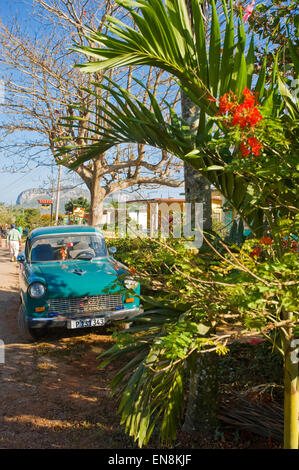 Vue verticale d'une rue calme de Vinales. Banque D'Images