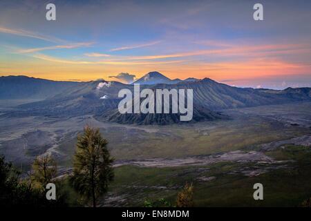 Garut, Indonésie. Le 08 février, 2013. Le Mont Bromo, est un volcan actif, couvre une vaste superficie de 800 kilomètres carrés et une partie de l'Tengger massif, dans l'Est de Java, Indonésie. © Garry Andrew Lotulung/Pacific Press/Alamy Live News Banque D'Images