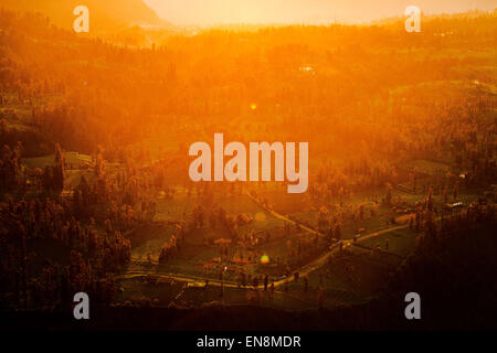 Garut, Indonésie. Le 08 février, 2013. Le Mont Bromo, est un volcan actif, couvre une vaste superficie de 800 kilomètres carrés et une partie de l'Tengger massif, dans l'Est de Java, Indonésie. © Garry Andrew Lotulung/Pacific Press/Alamy Live News Banque D'Images