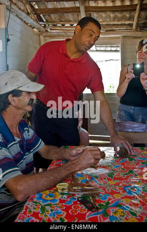 Vue verticale de touristes regardant un agriculteur roll cigares dans Vinales. Banque D'Images