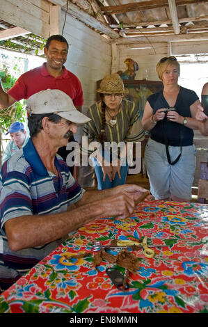 Vue verticale de touristes regardant un agriculteur roll cigares dans Vinales. Banque D'Images