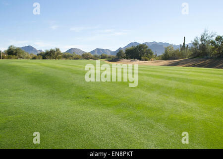 Le parcours ouvert sur un golf dans le sud-ouest de désert Banque D'Images