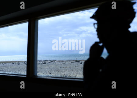 Xining. Apr 29, 2015. Un touriste observe un troupeau de bar-dirigé oies (Anser indicus) dans la pittoresque place du lac Qinghai, dans le nord-ouest de la province de Qinghai en Chine, le 29 avril 2015. Le Lac Qinghai, le plus grand lac d'eau salée, est un habitat de plus de 400 000 oiseaux chaque année. © Zhang Hongxiang/Xinhua/Alamy Live News Banque D'Images