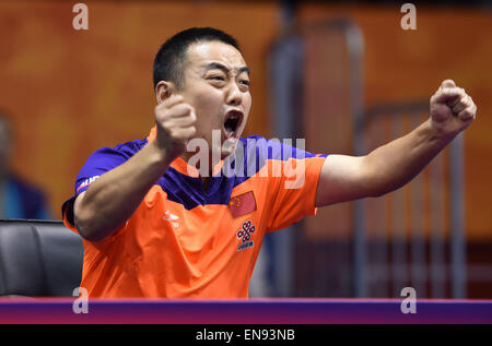 Suzhou, Province de Jiangsu en Chine. Apr 30, 2015. Liu Guoliang (, entraîneur-chef de l'équipe masculine de tennis de table de la Chine, célèbre pour la Chine Xu Xin pendant masculin match contre la Russie Alexander Shibaev à la 53e Championnats du Monde de Tennis de Table à Suzhou, ville de la Chine de l'est de la province de Jiangsu, le 30 avril 2015. La Chine Xu Xin a gagné 4-2. © Li Ga/Xinhua/Alamy Live News Banque D'Images