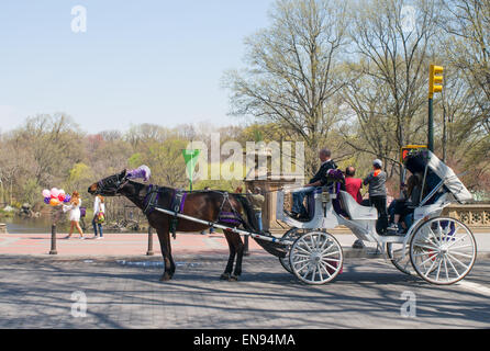 Les passagers dans la calèche s'arrêter pour regarder la femme portant des ballons dans Central Park, NYC, USA Banque D'Images