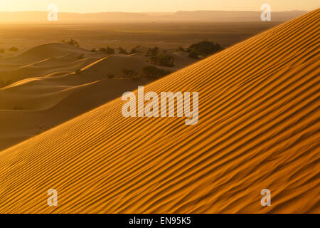 Les dunes de sable. Dunes Lihoudi. Désert du Sahara. Le Maroc. Banque D'Images