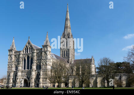 L'Angleterre, dans le Wiltshire, Salisbury Cathedral Banque D'Images