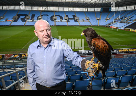 Coventry, Royaume-Uni. 29 avril 2015. A 20 mois Harris Hawk est le nouveau membre de l'équipe au Ricoh Arena de Coventry, l'accueil de guêpes, d'effrayer les pigeons. Une campagne a été lancée pour nom l'oiseau par RicohArena @twitter # aide NameTheHawk. En photo avec handler Alan Pickering. Crédit : Jamie Gray/Alamy Live News Banque D'Images