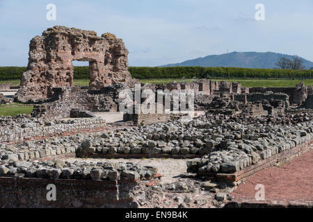 L'Angleterre, Shropshire, Wroxeter, ville romaine de Wrekin distance Banque D'Images