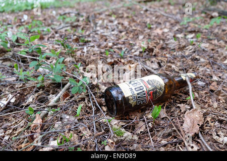 Bouteille de bière sur le terrain faisant l'objet d'un Banque D'Images